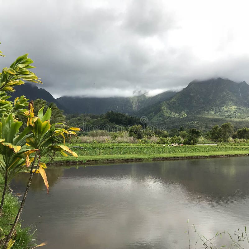 Hanalei Bay, Kauai, Hawaii, USA royalty free stock photography Hanalei Bay, Kauai, Hawaii, USA royalty free stock photography