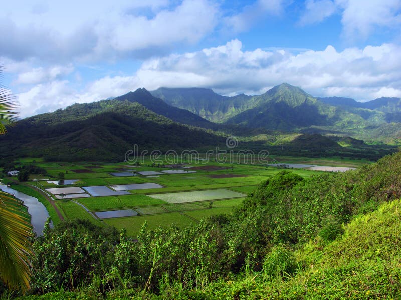 Hanalei lookout, kauai stock image. Image of landscape 28384981