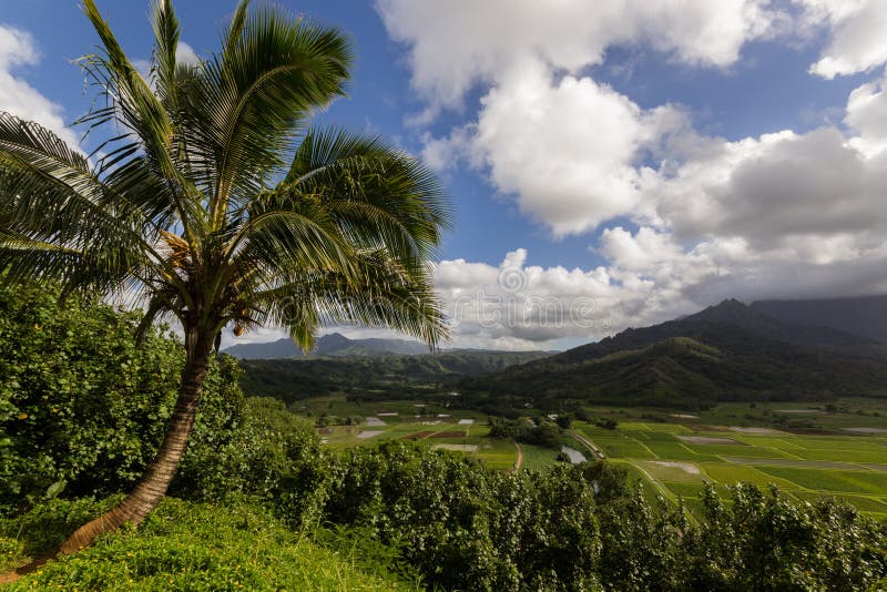 Hanalei Vally στο νησί Kauai, Χαβάη με ένα όμορφο PA στοκ εικόνες Hanalei Vally στο νησί Kauai, Χαβάη με ένα όμορφο PA στοκ εικόνες