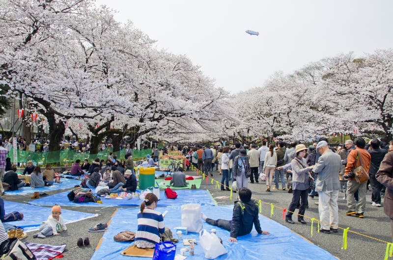 Hanami Festival in Ueno Park. Editorial Photo - Image of bloom, japan:  51906581