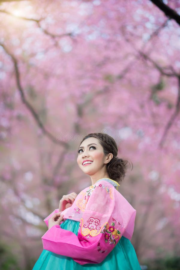 Hanbok: de traditionele Koreaanse kleding en mooie Aziatische meisjeswi stock foto's Hanbok: de traditionele Koreaanse kleding en mooie Aziatische meisjeswi stock foto's