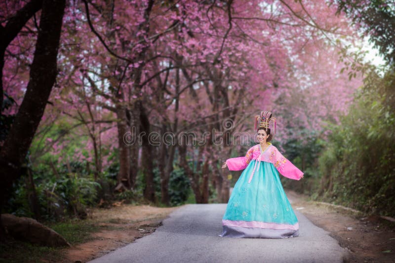 Hanbok: традиционное корейское платье и красивые азиатские wi девушки стоковое фото rf Hanbok: традиционное корейское платье и красивые азиатские wi девушки стоковое фото rf