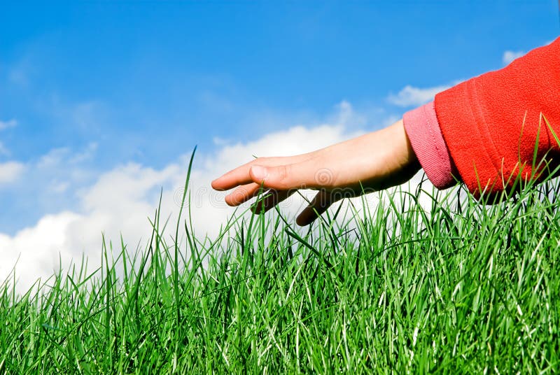 Person touching grass - Stock Image - F012/0423 - Science Photo Library