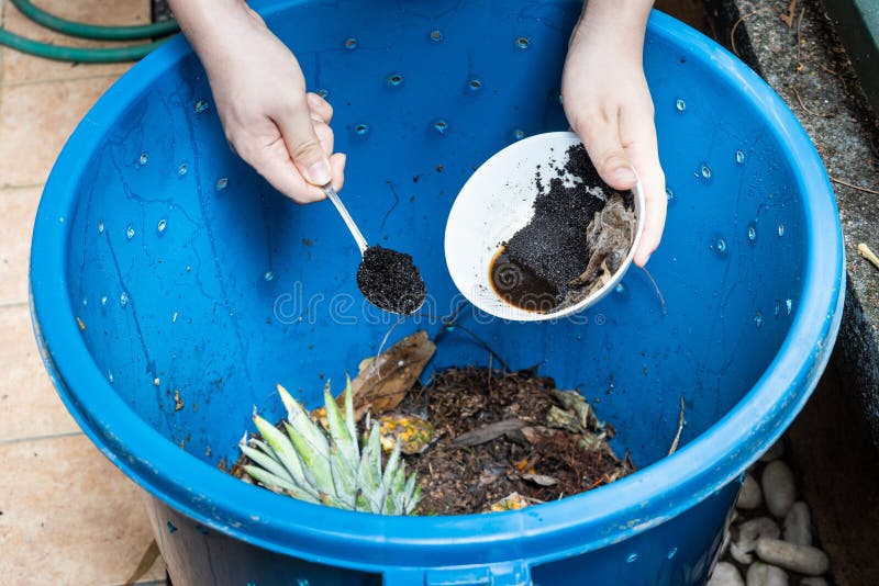 Hand Adding Coffee Grounds into the Compost Bin As Part of Green Compost Material Stock Image