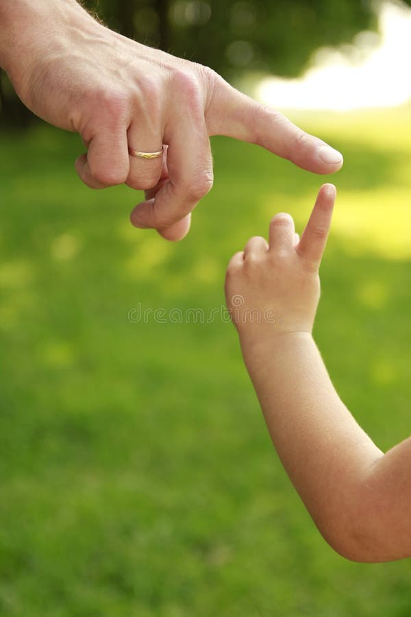 Hand av föräldern och barnet i natur arkivbild Hand av föräldern och barnet i natur arkivbild