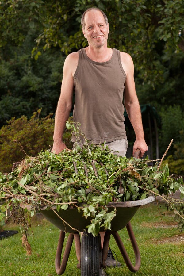Hand barrow stock photo. Image of heap, garden, background 32876392