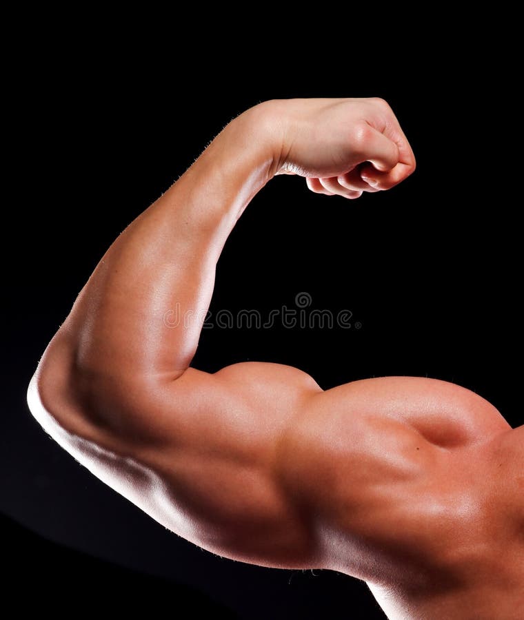 Hand of bodybuilder stock image. Image of sport, arms 19075027