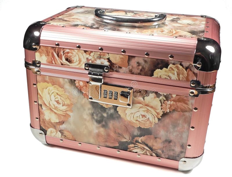 Hand Case/Luggage stock photo. Image of suit, pink, female 1720704