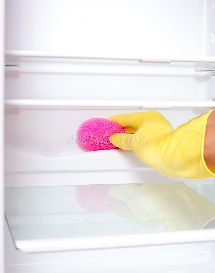 Hand Cleaning Refrigerator. Stock Photo Image of careful, polishing