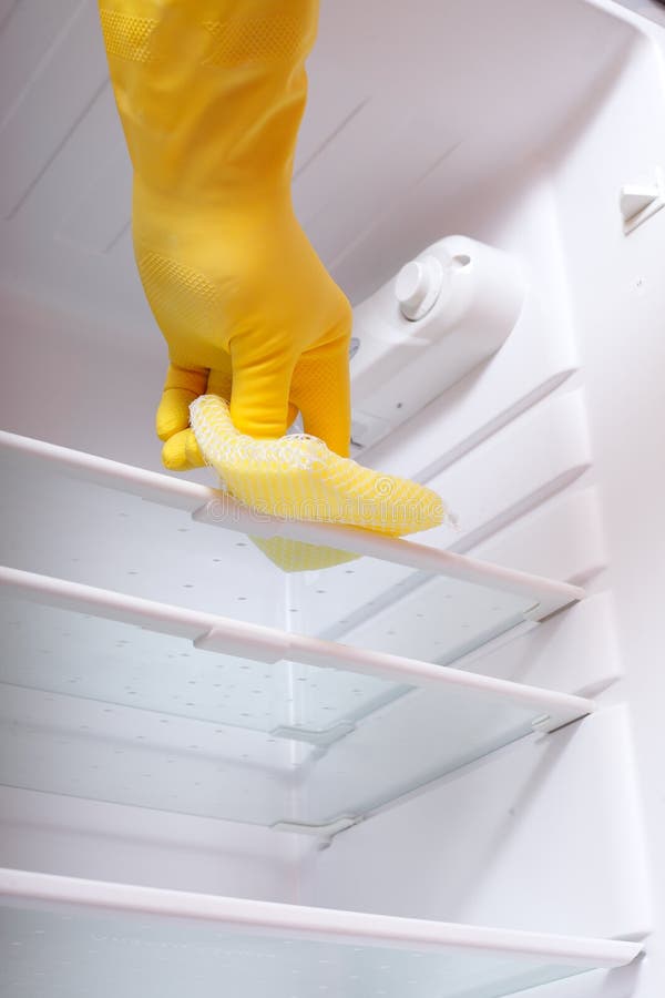 Hand Cleaning Refrigerator. Stock Image Image of human, careful 22358439