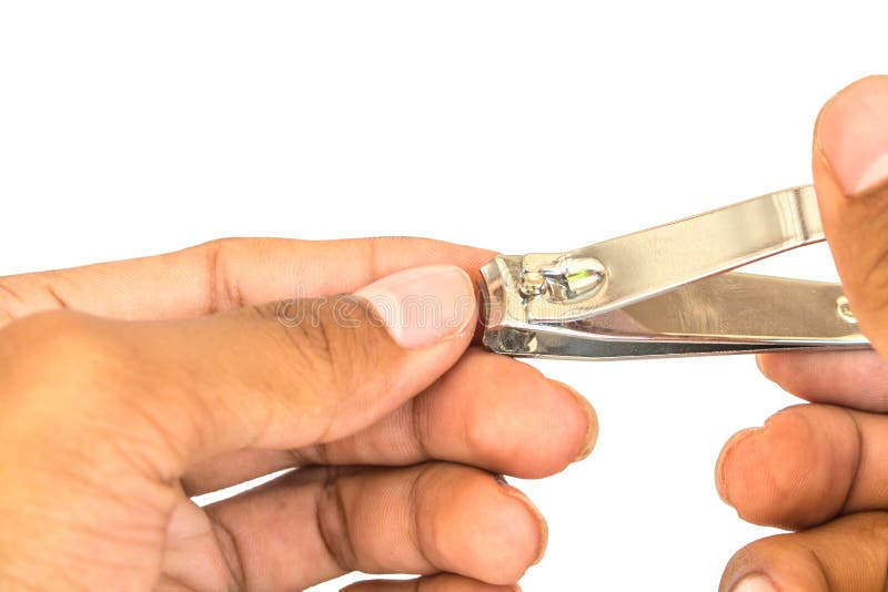 Hand Clippers White Isolated Stock Photo Image of tool, isolated