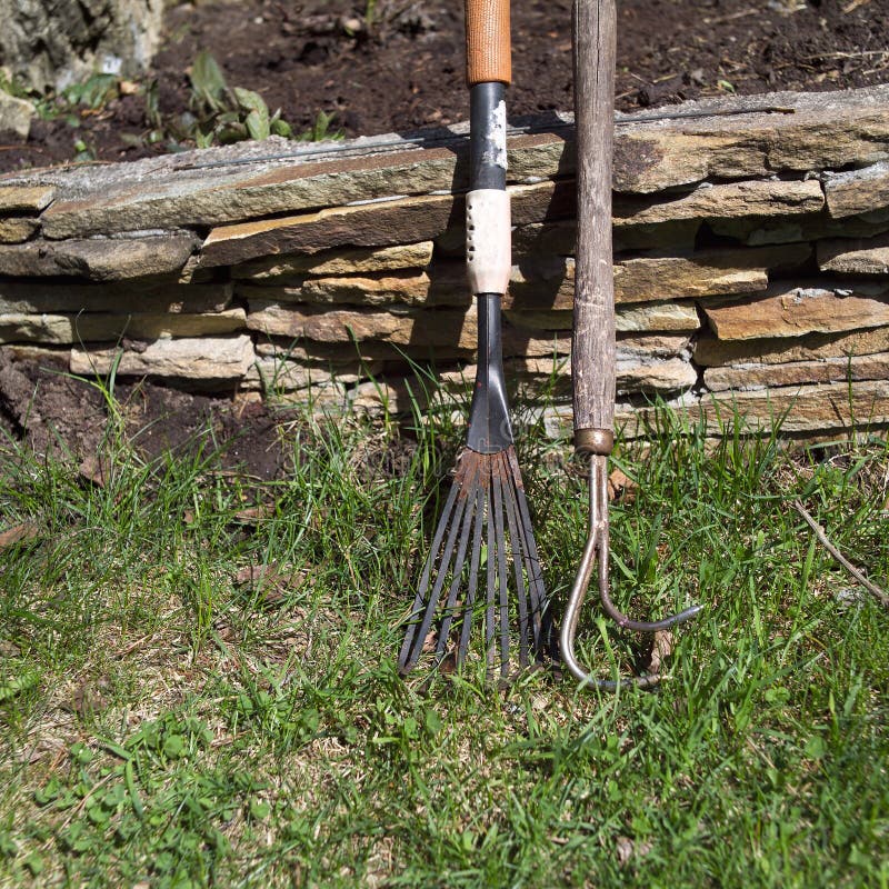Hand Cultivators in a Garden Stock Photo Image of gardening, season