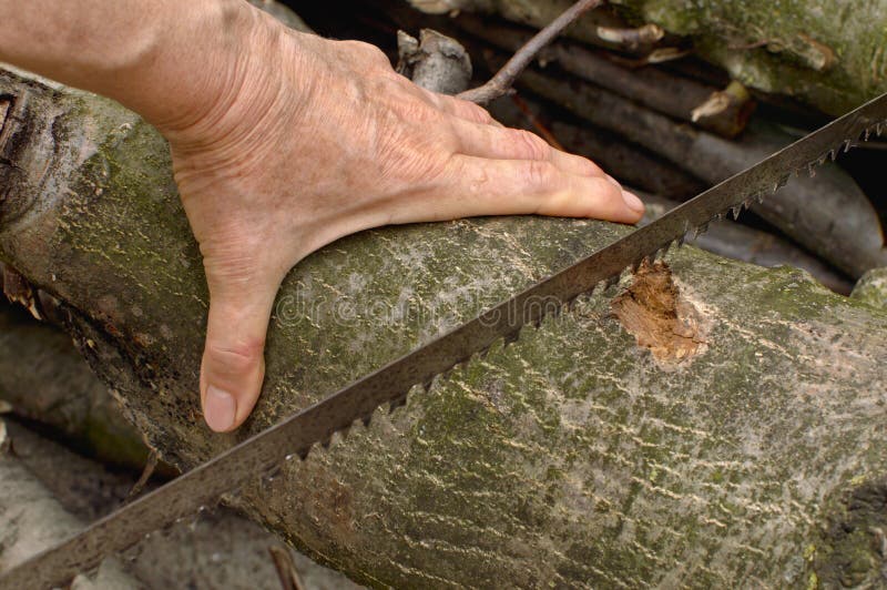 Hand cutting wood. stock image. Image of improvement 32341617