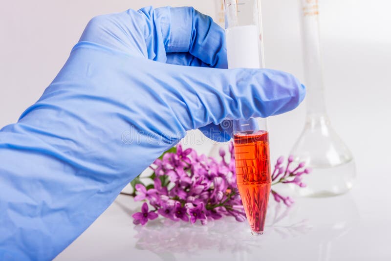 Hand die een buis met extractie van natuurlijke ingrediënten in parfumerie houden royalty-vrije stock afbeelding Hand die een buis met extractie van natuurlijke ingrediënten in parfumerie houden royalty-vrije stock afbeelding