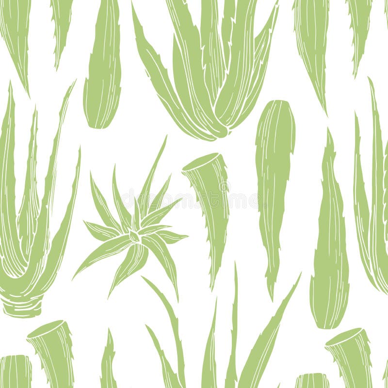 Hand dragen aloeVera växt seamless vektor för modell royaltyfri illustrationer