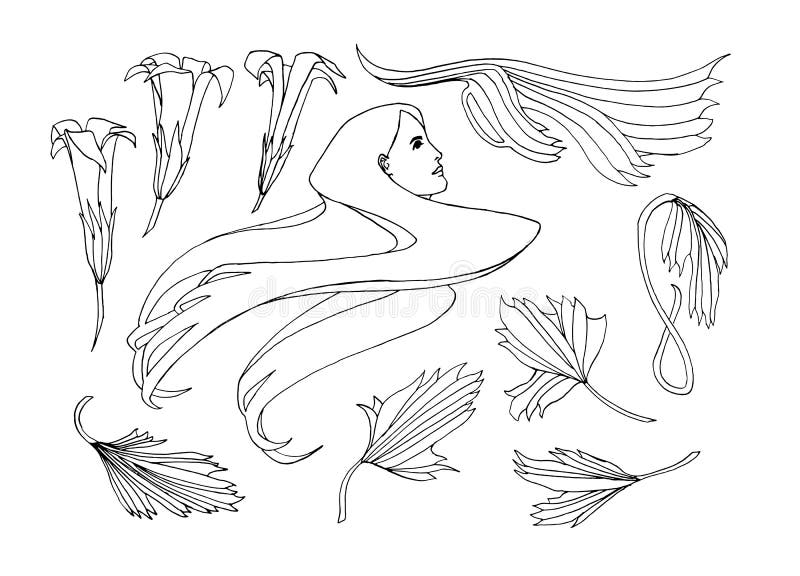 Hand dragen jugendstilstiluppsättning Vektorklotterillustrationen med blommor, sidor och en flicka` s head Svarta översiktsbestån royaltyfri illustrationer Hand dragen jugendstilstiluppsättning Vektorklotterillustrationen med blommor, sidor och en flicka` s head Svarta översiktsbestån royaltyfri illustrationer