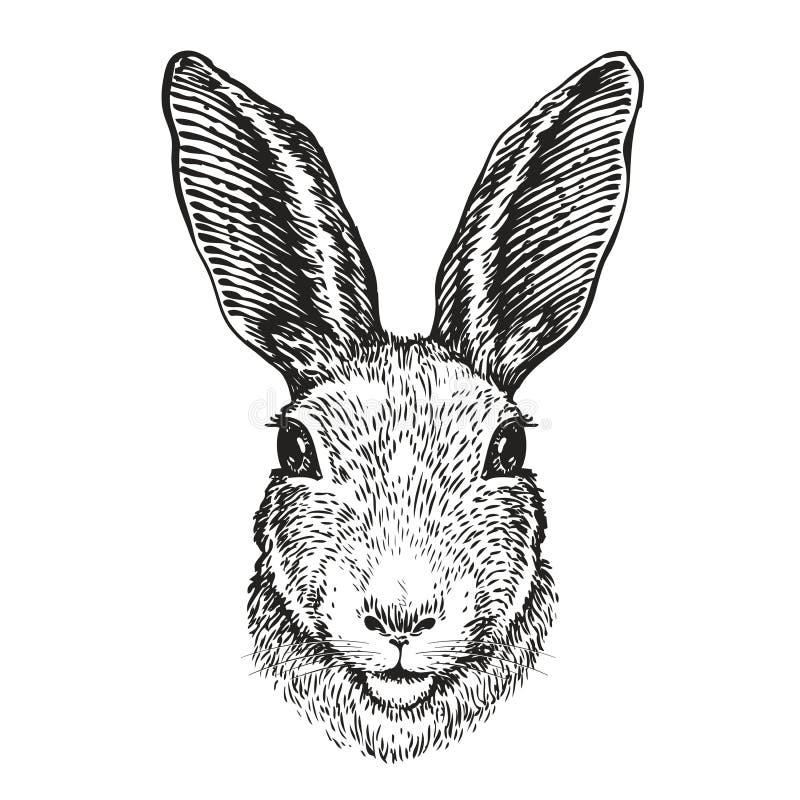 Hand-dragen stående av kanin Påskkaninen, skissar också vektor för coreldrawillustration