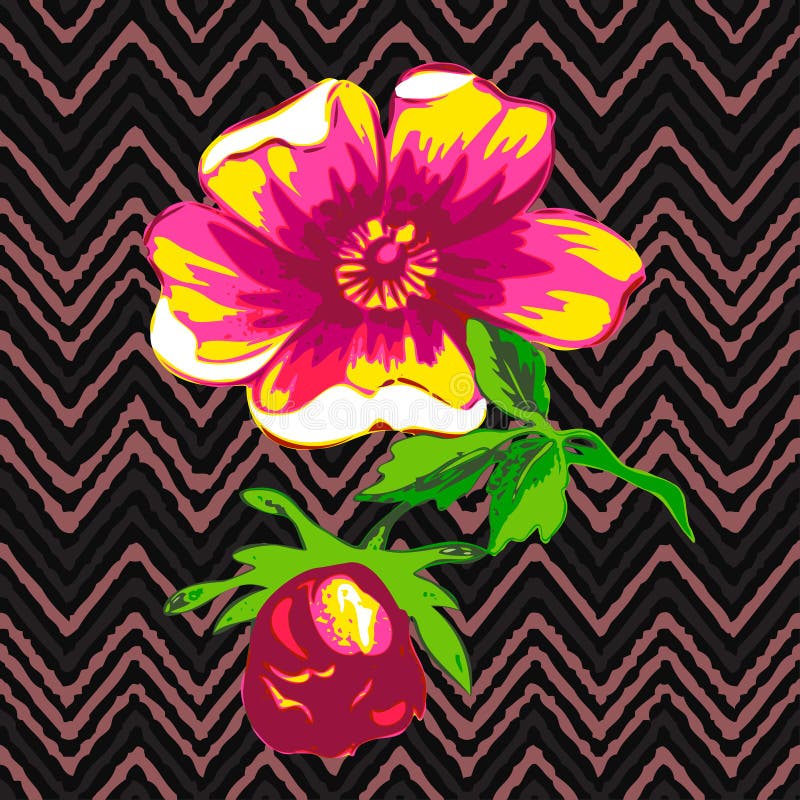 Hand dragit tryck för tappning för blommarosor tropiskt, bandsicksack p vektor illustrationer Hand dragit tryck för tappning för blommarosor tropiskt, bandsicksack p vektor illustrationer
