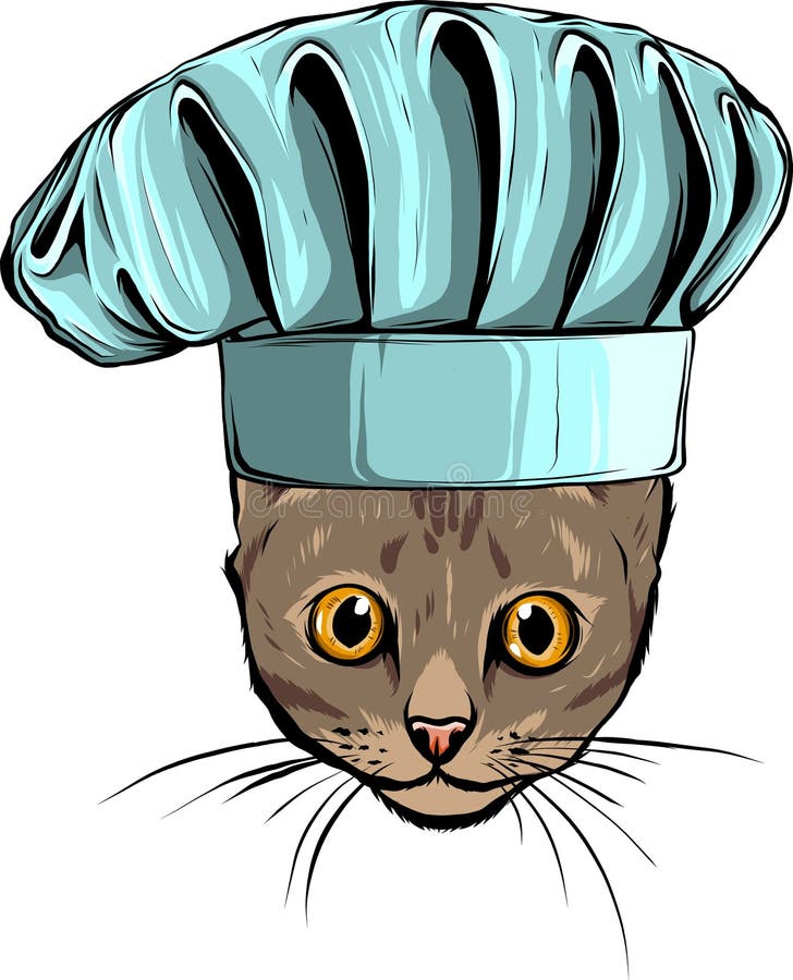 Hand Draw of Cat Head Vector Illustration Design Stock Vector