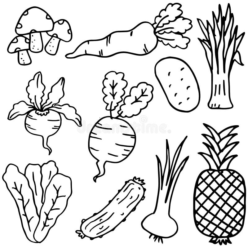 Hand Draw Doodle Vegetable and Fruit Stock Vector Illustration of