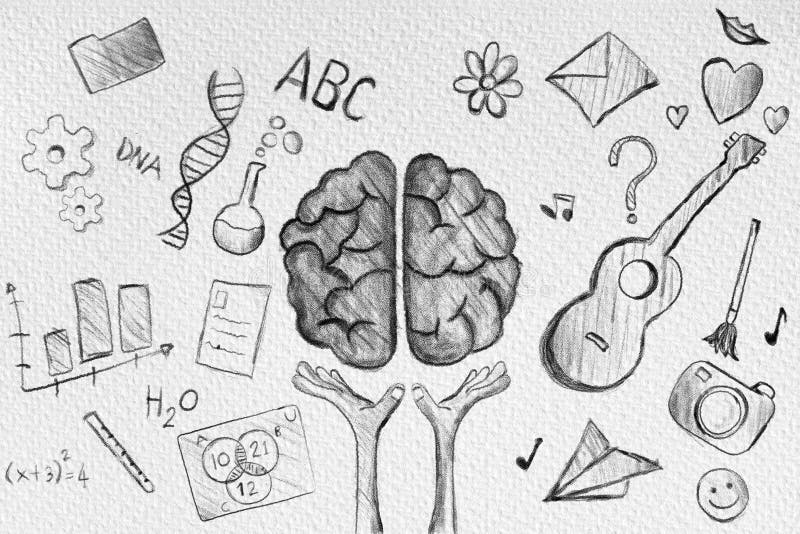 Hand Draw Human Brain Diagram Stock Illustration - Illustration of