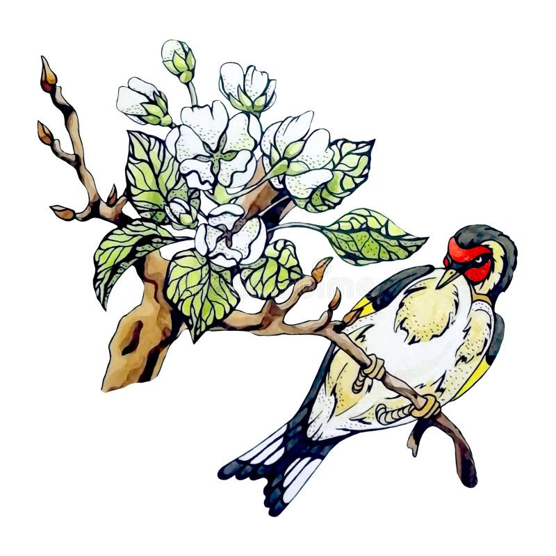 Hand draw, painted decorative design element. Watercolor cute bird on apple tree branches with white spring flowers