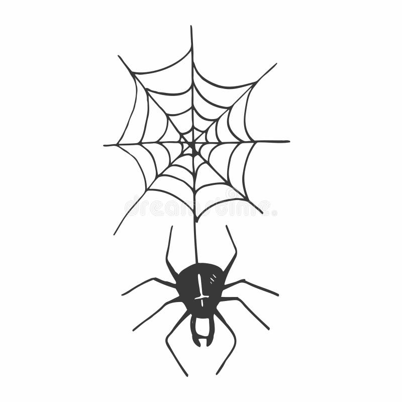 Hand Draw Sketch, Spider and . Halloween Concept. Vector Illustration Stock Vector