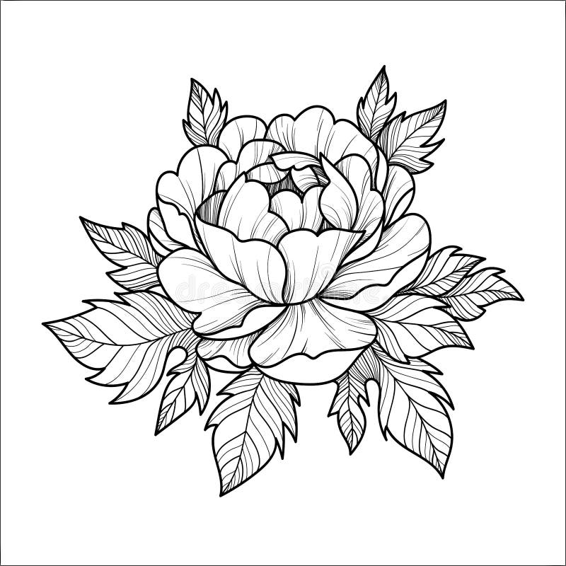 Hand Drawing Flower for Greeting Card, Invitation, Henna Drawing and ...