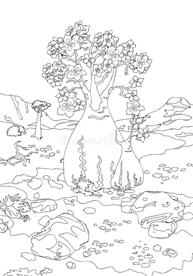Nature Trees Coloring Pages Stock Illustrations 58 Nature