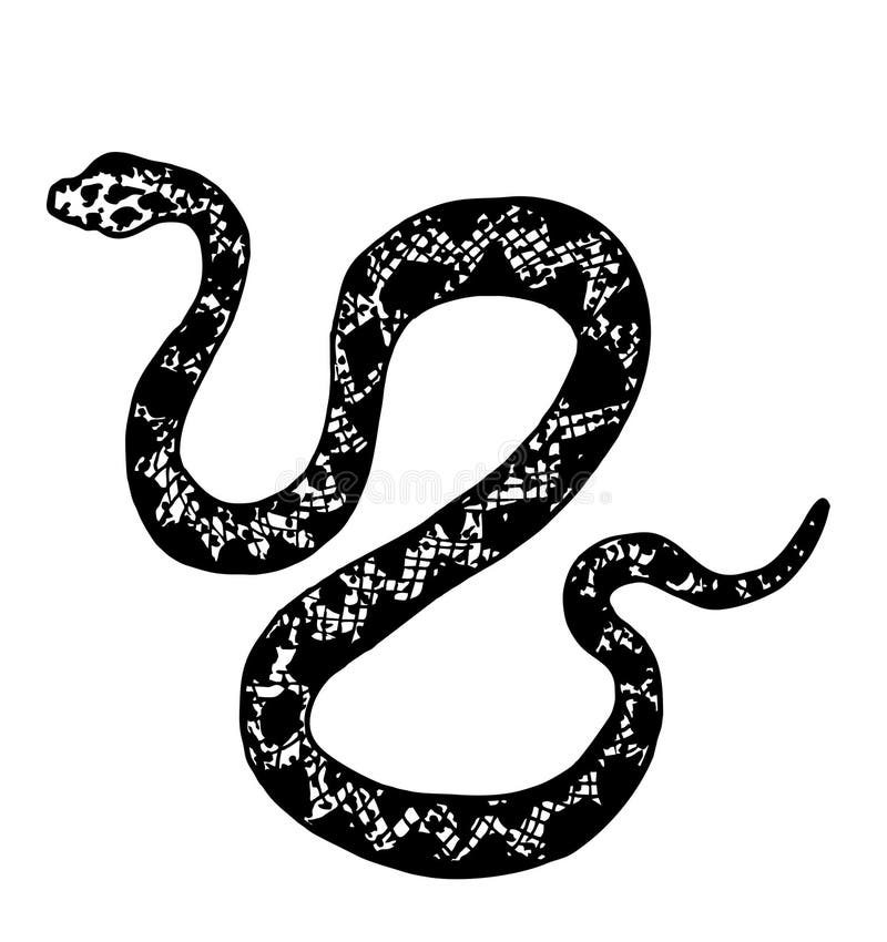 Как выглядит знак змеи Black silhouette snake isolated symbol or icon Vector Image