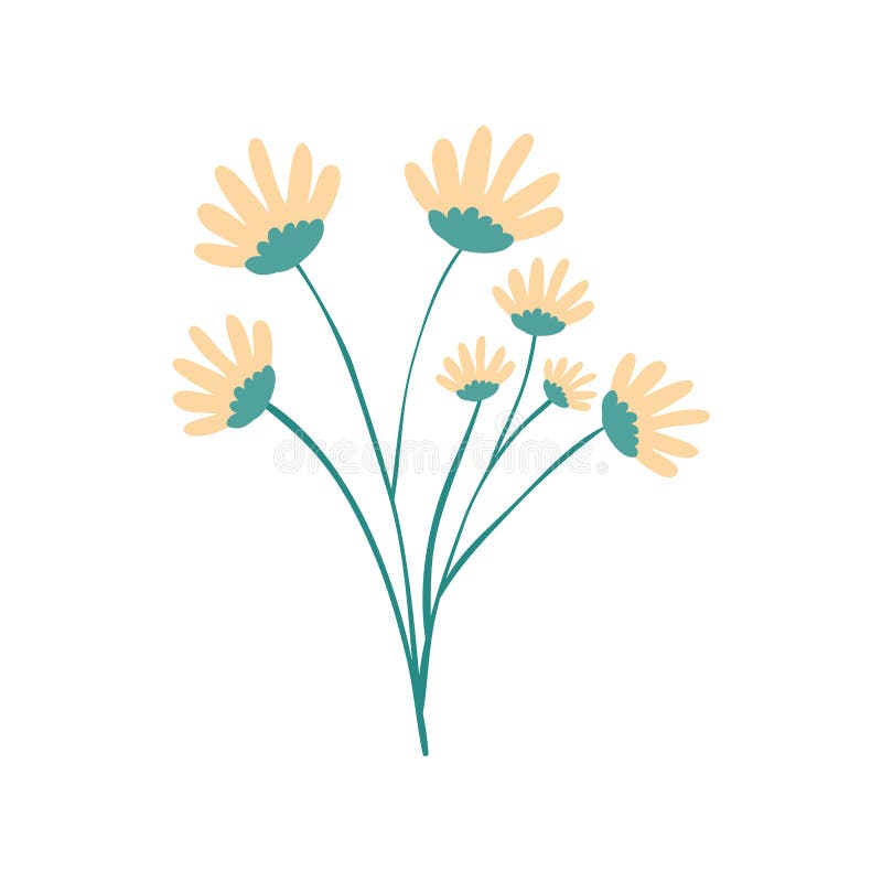 Hand Drawing Yellow Color Daisy Flower Bouquet with Several Ramifications Stock Vector