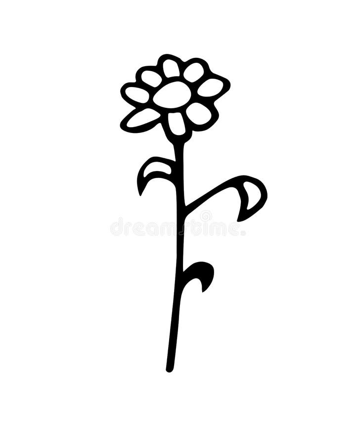 My Image 4