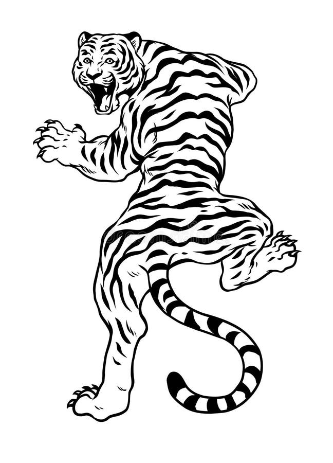 Hand Drawn Angry Tiger Black and White Stock Vector - Illustration of ...