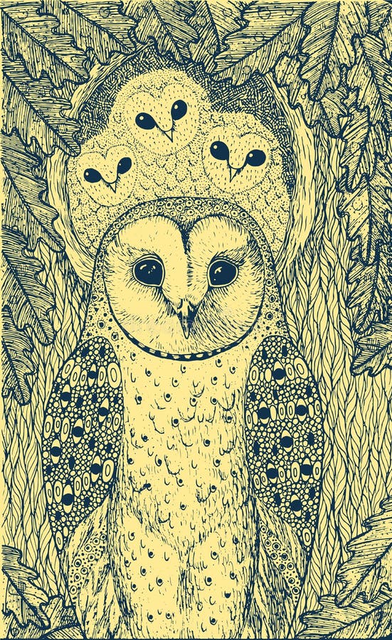 realistic drawing of owls