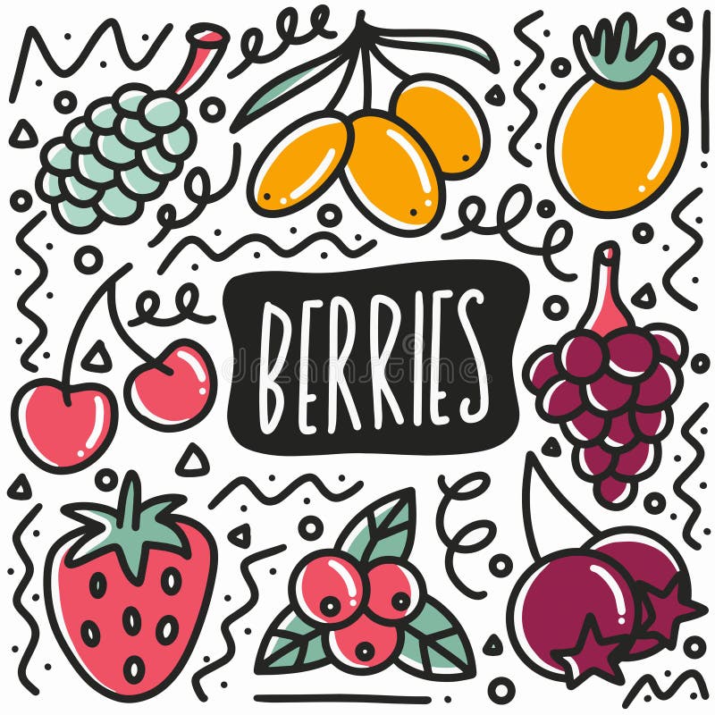 hand drawn berries fruit doodle set