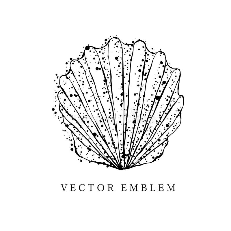 Shell with an outline in a trendy minimal style. Vector illustration of a  shell clam for tattoo, design social media 23524053 Vector Art at Vecteezy