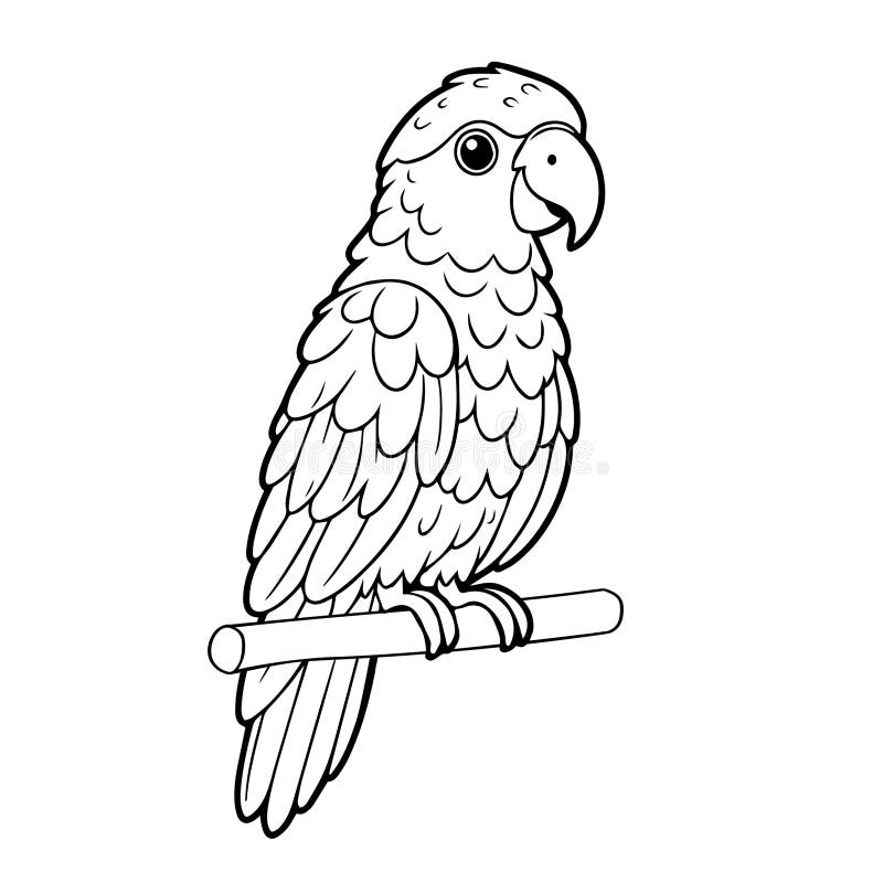 Hand-drawn black vector illustration of one parrot is sitting on a branch on a white background stock illustration