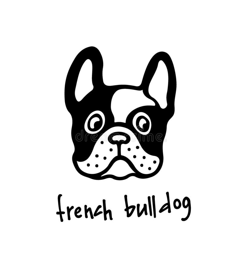 Hand drawn bulldog`s head stock vector. Illustration of nose - 167479797