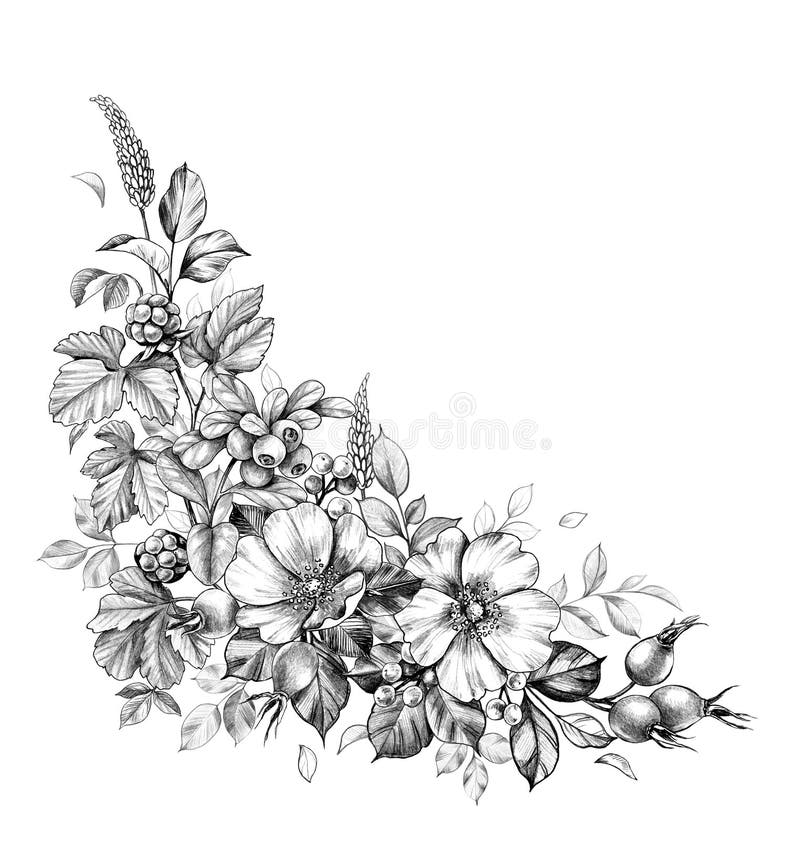 Bunch Flowers Pencil Drawing Stock Illustrations – 415 Bunch Flowers Pencil  Drawing Stock Illustrations, Vectors & Clipart - Dreamstime