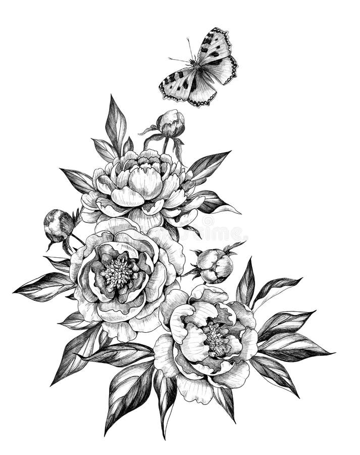 Hand Drawn Bunch with Peony and Butterfly Stock Illustration ...