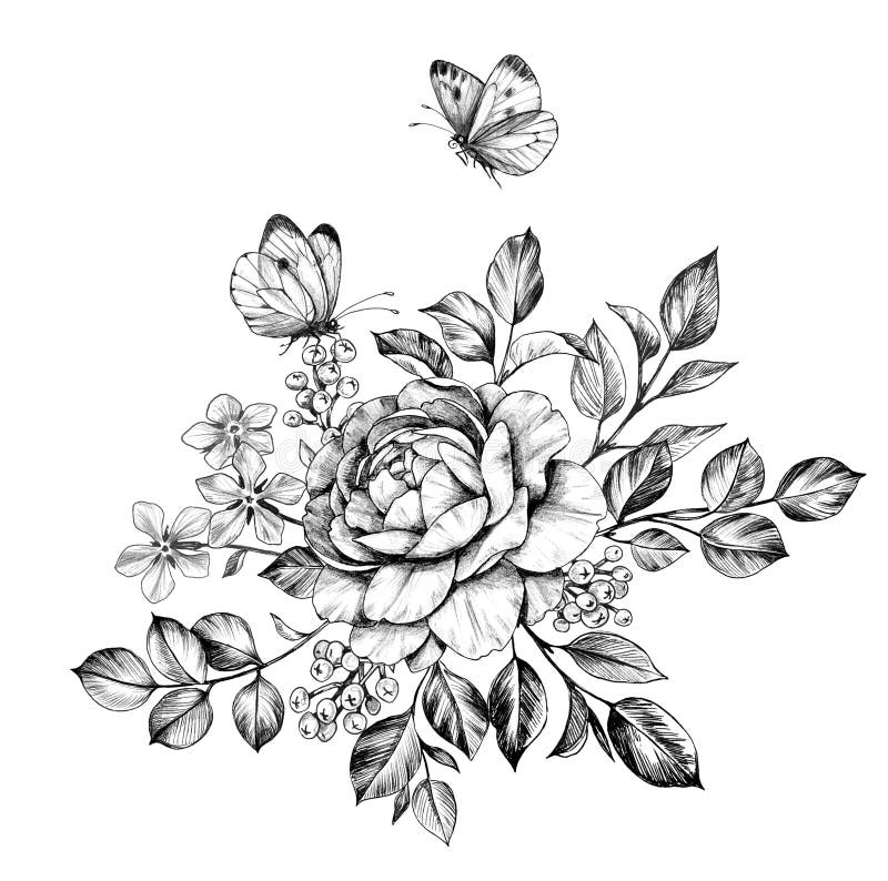 Hand Drawn Rose Bunch and Butterflies Stock Illustration - Illustration ...