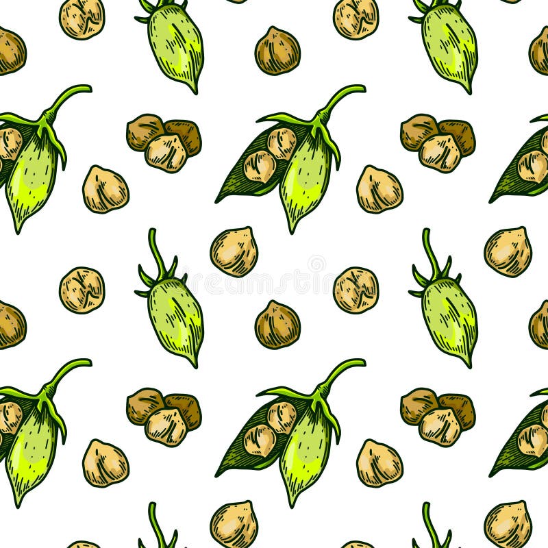 Hand Drawn Chickpeas Pods and Beans Seamless Pattern. Colorful Botany