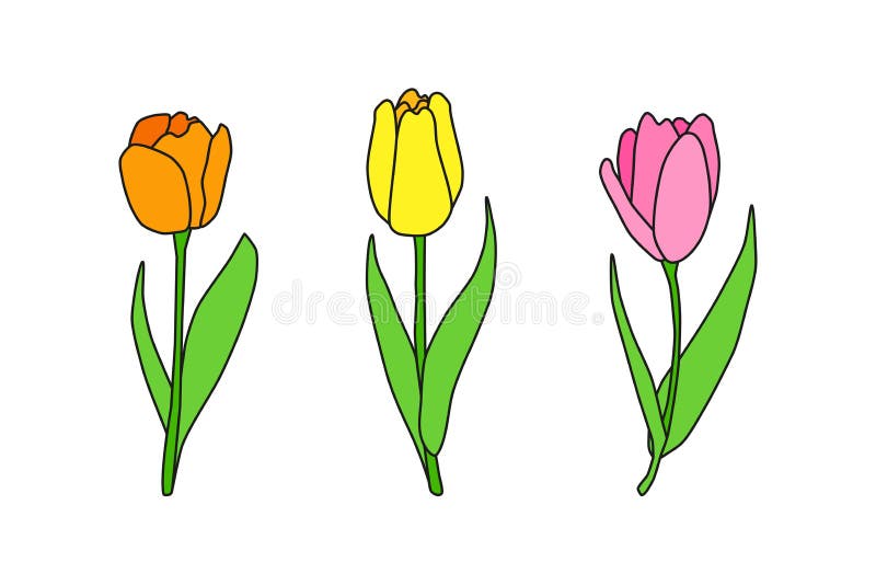 Hand Drawn Colored Spring Tulip Flowers. Stock Vector - Illustration of ...