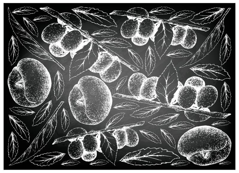 Exótico, ilustraciones fondo de escritorio de pintado a mano bosquejo ángel durazno a ciruela o sobre el negro.