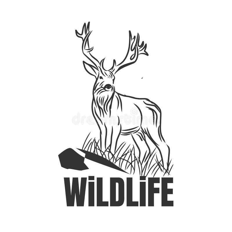 Wildlife text. Wild Life text. Wildlife text PNG.