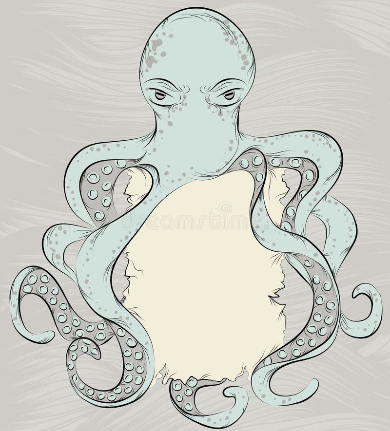 Hand drawn detailed octopus illustration