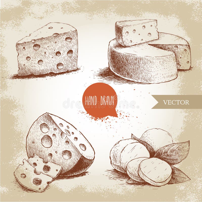 Hand drawn different type of cheese set. stock illustration