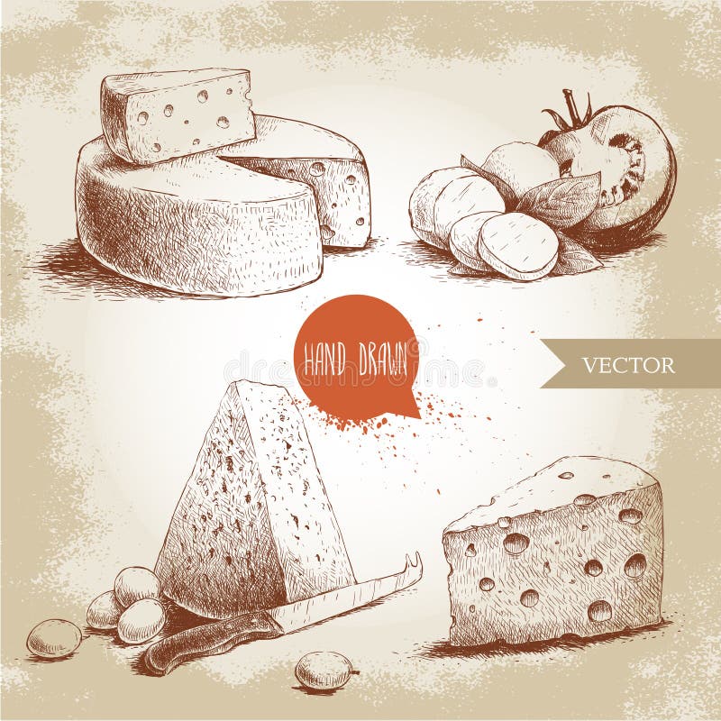 Hand drawn different type of cheese set. vector illustration