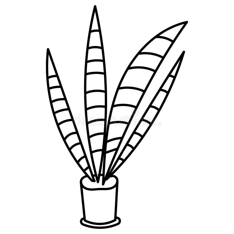 Hand Drawn Doodle Botanical Plant Cactus Clip Art Illustration Stock
