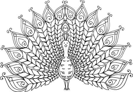 Drawing Hand Peacock Stock Illustrations – 5,142 Drawing Hand Peacock ...